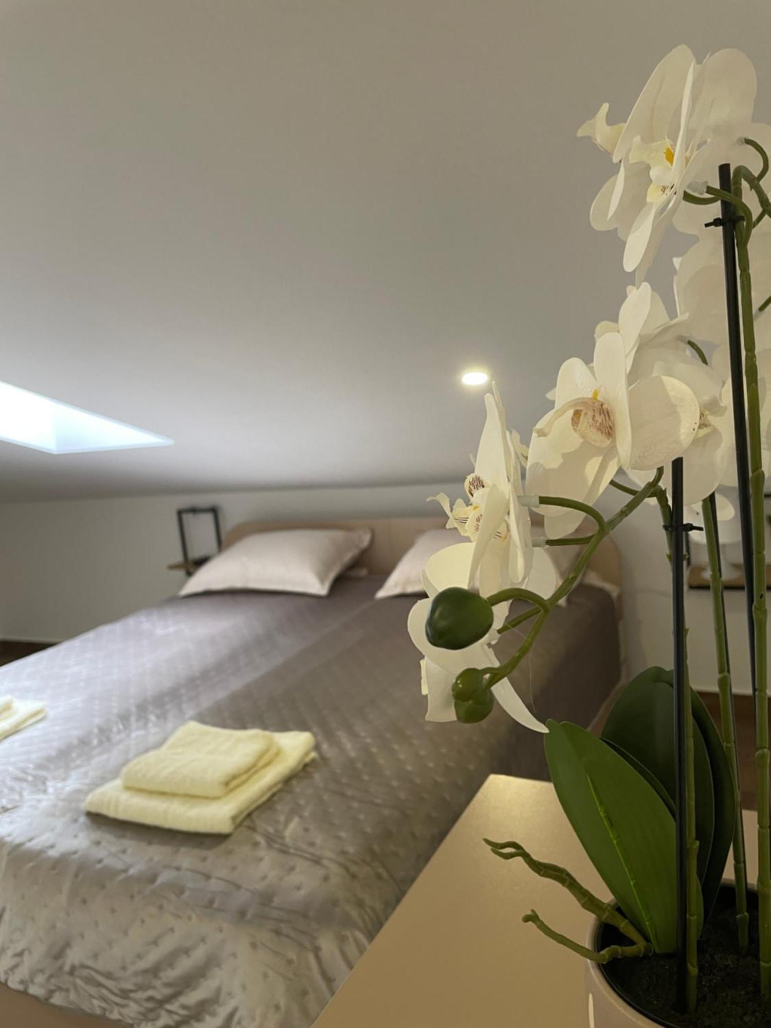 Joy Apartment 6 Belgrad Zewnętrze zdjęcie